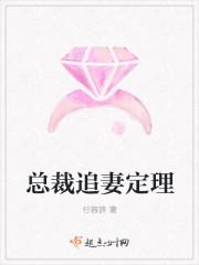 总裁追妻好坎坷全文免费阅读