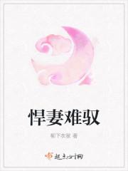 悍妻太难训有声