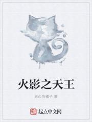 火影天王级忍者