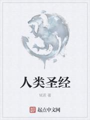 口袋妖怪漆黑冠军之路走法