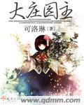 大庄园集团是国企吗