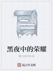 黑夜中的什么