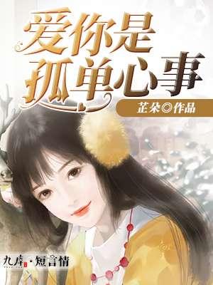 爱你是孤单心事12