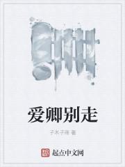 爱卿全文免费阅读