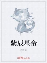 紫辰什么时候恢复记忆