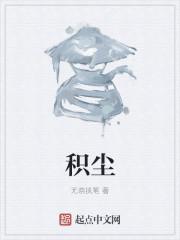 积尘负荷标准