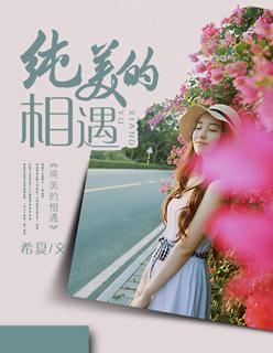 纯美的相遇在线