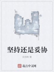 坚持与妥协的关系