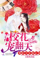 傲娇校花痞高手