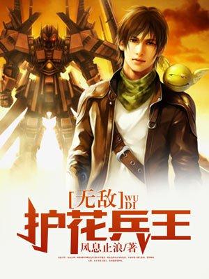 逍遥护花兵王