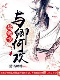 鸳鸯恨与卿何欢讲的什么