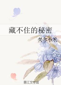 藏不住的秘密正版