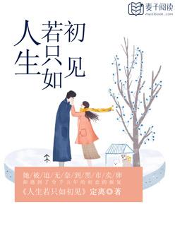 人生若只如初见歌词