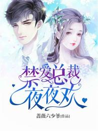 禁爱总裁夜夜欢白妖儿全文阅读