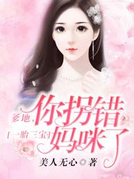 你拐错妈咪了全文