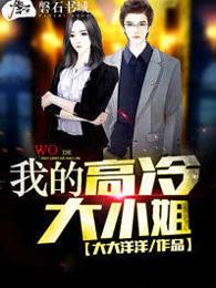 我的高冷大小姐李晴川
