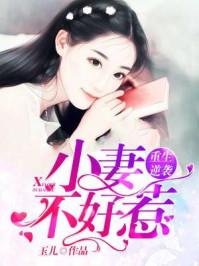 重生逆袭大小姐画风不对时锦叶琛