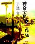 神神奇宝贝之