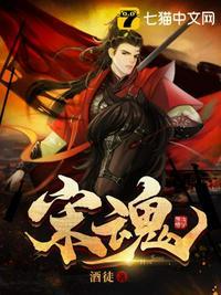 宋魂TXT百度