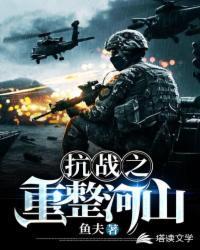 抗战之重整河山大结局