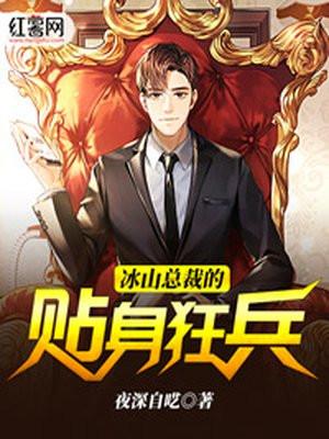 冰山总裁的贴身狂兵杨天