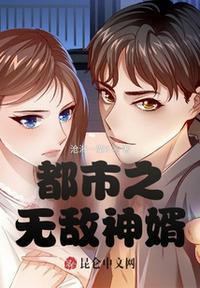 都市之无敌女婿