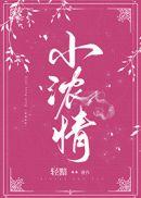 小浓情电视剧