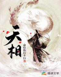 天相智投8是不是正规公司