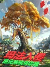法师传奇三玛法入侵
