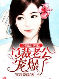 半夏倾心沈擎苍乔雪鸢