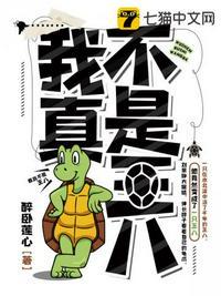 我真不是王八百度