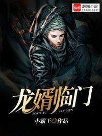 龙婿陈峰t×t八零