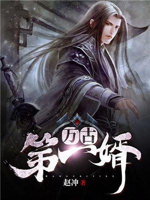 万古第一婿人物介绍