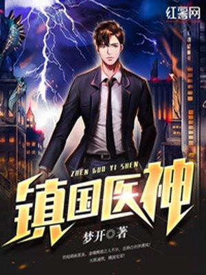 镇国医神赵齐天