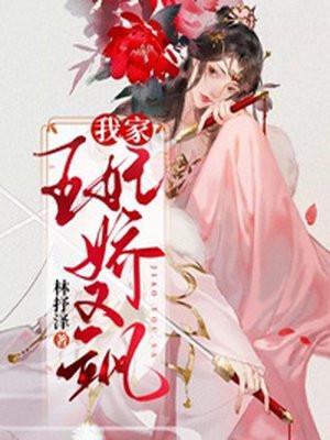 我家王妃娇又傻