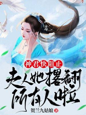 神君快阻止夫人她撂翻所有人啦贺兰小姑娘著