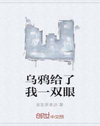 乌鸦给了我一双眼什么歌