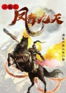 三国之凤舞九天txt啃书