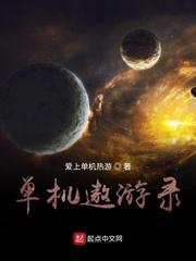 单机遨游录类