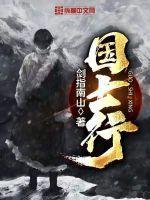 国士行为解读