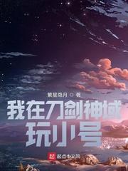 我在刀剑神域玩小号的