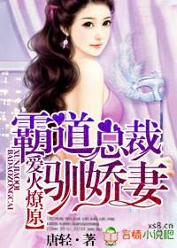 霸道总裁追妻火