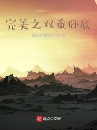 完美之双重卧底雨水中看风云