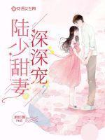 陆少宠妻太甜蜜第300章