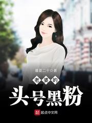 老婆的头号黑粉 全本免费