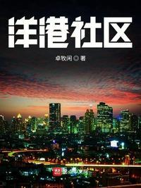 洋港社区TXT免费