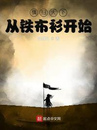 纵横天下从铁布衫开始有女主吗