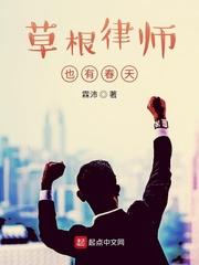 草根律师也有春天吴鸿雁