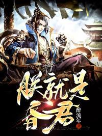 朕就是昏君杨广在线观看电影