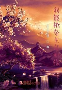 我能夺取boss技能